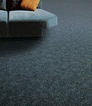 Tapisom 900 Modul